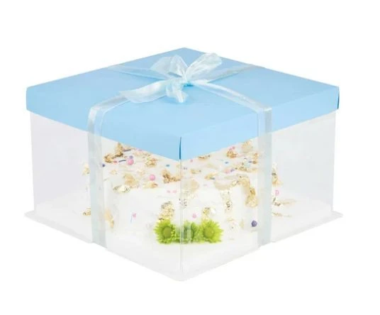 Disposable Cake Boxes factory